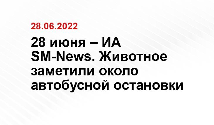 SM-News