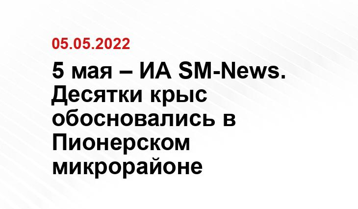 https://www.pexels.com/ru-ru/photo/9783105/