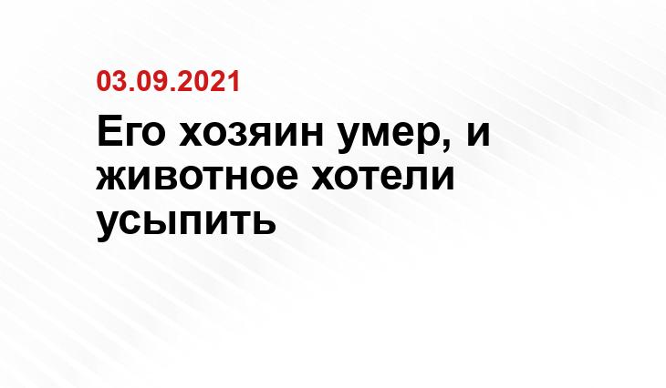 Ирина Михайлова 