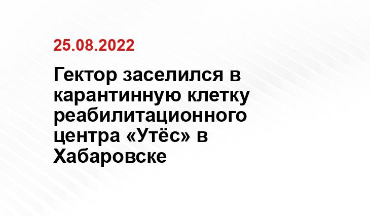 Группа РМК