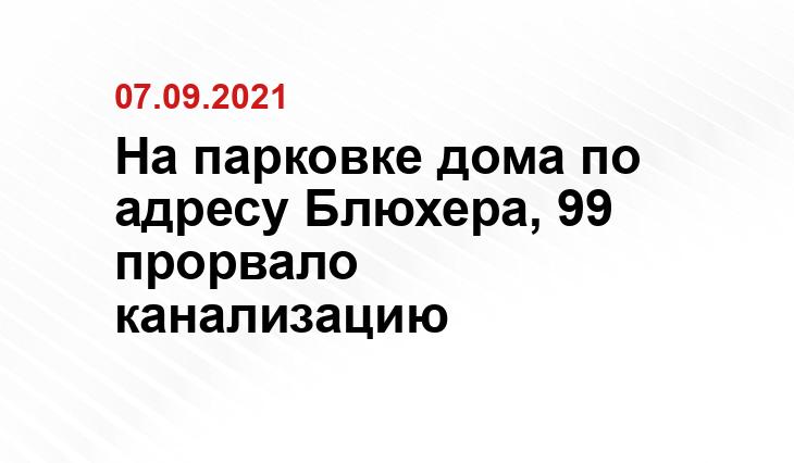 https://www.pexels.com/ru-ru/photo/1756957/
