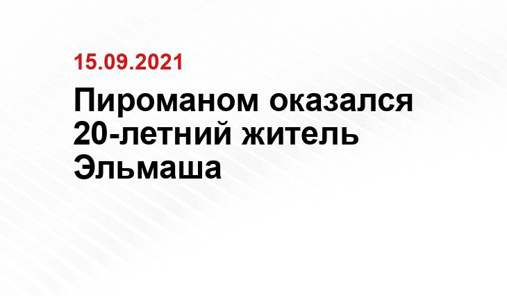 Пироманом оказался 20-летний житель Эльмаша https://www.pexels.com/ru-ru/photo/672636/