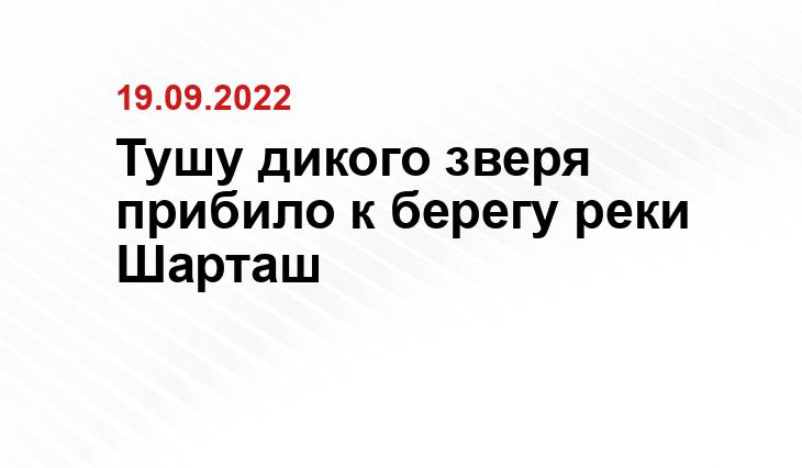 SM-News
