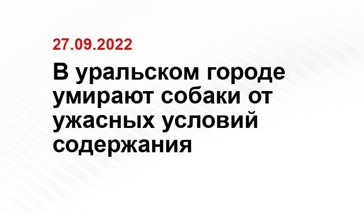 SM-News