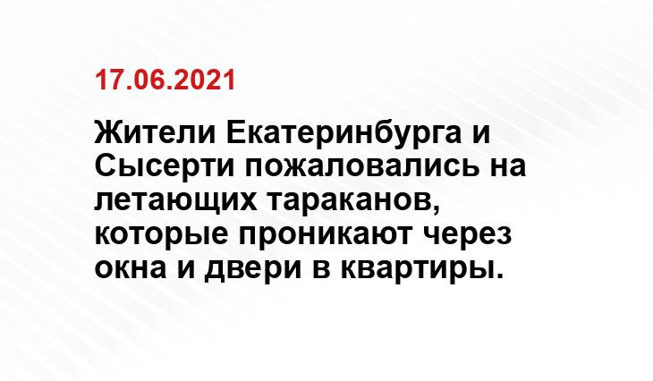 https://www.pexels.com/ru-ru/photo/6482827/