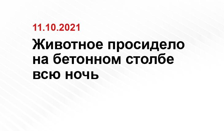 https://vk.com/zoo_spas_ekb