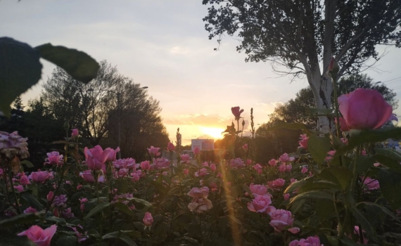 Политолог Перла: Украина продолжит борьбу с русским языком Политолог Перла: Украина продолжит борьбу с русским языком