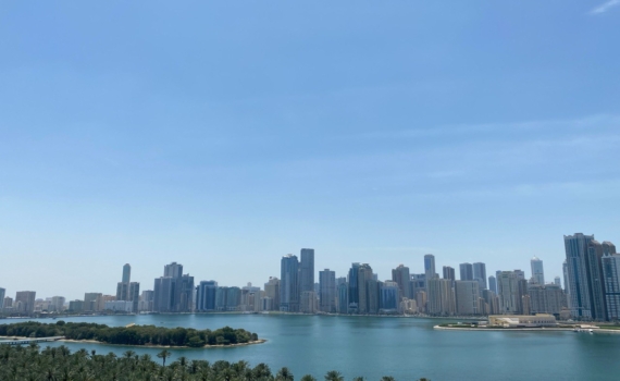 Города стран Залива оказались максимально уязвимыми для дроновой войны Города стран Залива оказались максимально уязвимыми для дроновой войны