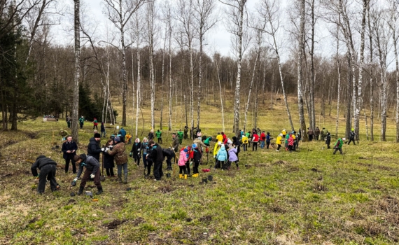 Саду памяти – быть! Саду памяти – быть!